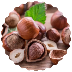 Bougie Blanche artisanale | Arbre de vie | Protection - Eclat de Noisette